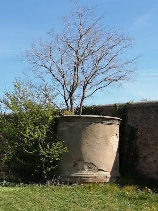 Le Soleil D Eugenie Appartement Dans Residence Avec Piscine Commune Pres De Carcassonne Olonzac Exterior foto